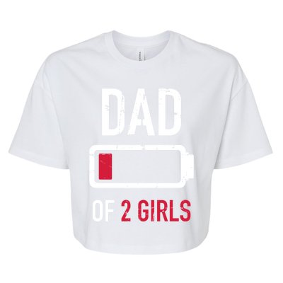 Dad Of 2 Two Low Battery Gift For Father's Day Gift Bella+Canvas Jersey Crop Tee