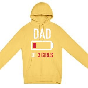 Dad Of 3 Three Low Battery Gift For Father's Day Funny Gift Premium Pullover Hoodie