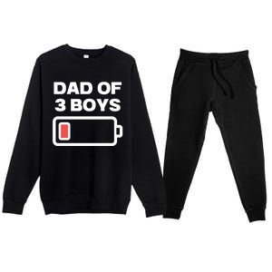 Dad Of 3 Boys Funny Fathers Day Premium Crewneck Sweatsuit Set