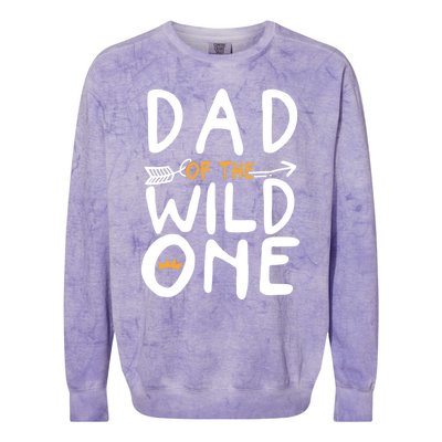 Dad Of A Wild One Funny 1st Birthday First Family Party Funny Gift Colorblast Crewneck Sweatshirt