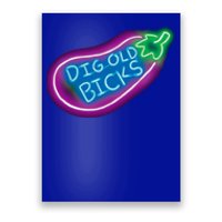 Dig Old Bicks Solar Opposites Funny Meme Gag Cute Gift Poster