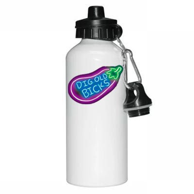 Dig Old Bicks Solar Opposites Funny Meme Gag Cute Gift Aluminum Water Bottle