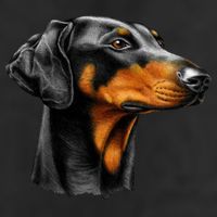 Doberman Dog 7 Panel Mesh Trucker Snapback Hat