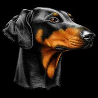 Doberman Dog 16 in Basic Backpack