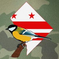 District Of Columbia Us Flag State Bird Legacy Tie Dye Trucker Hat