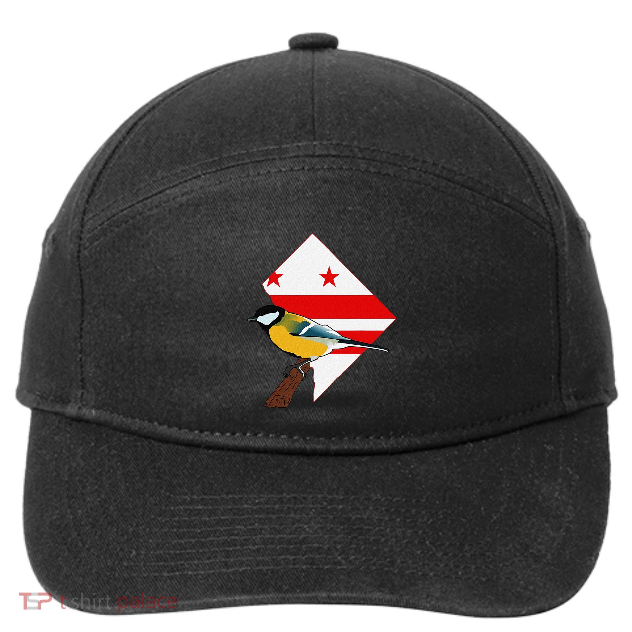 District Of Columbia Us Flag State Bird 7-Panel Snapback Hat