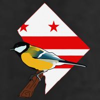 District Of Columbia Us Flag State Bird 15oz Campfire Ceramic Mug