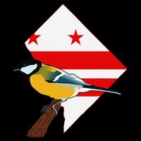 District Of Columbia Us Flag State Bird Zip Tote Bag