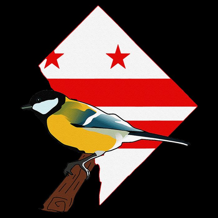 District Of Columbia Us Flag State Bird Zip Tote Bag