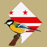 District Of Columbia Us Flag State Bird Tall Long Sleeve T-Shirt