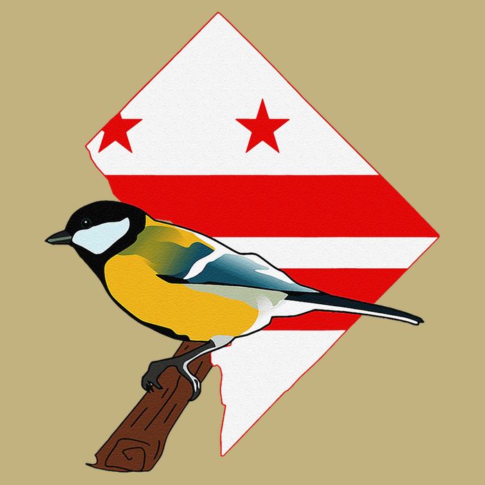District Of Columbia Us Flag State Bird Tall Long Sleeve T-Shirt