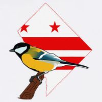 District Of Columbia Us Flag State Bird Garment-Dyed Sweatshirt