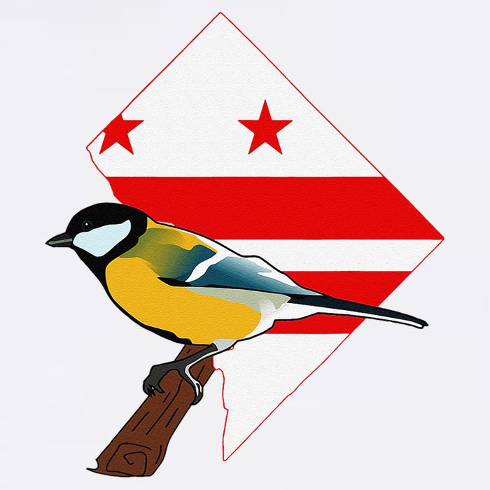 District Of Columbia Us Flag State Bird Garment-Dyed Sweatshirt