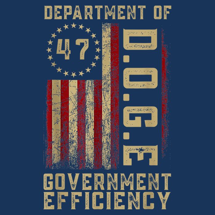 Department Of D.O.G.E 47 Goverment Efficiency Us Flag T-Shirt