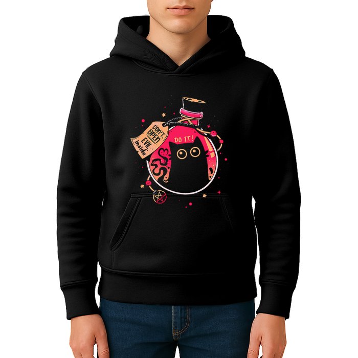 DonT Open Evil Inside Funny Cat Kids Hoodie
