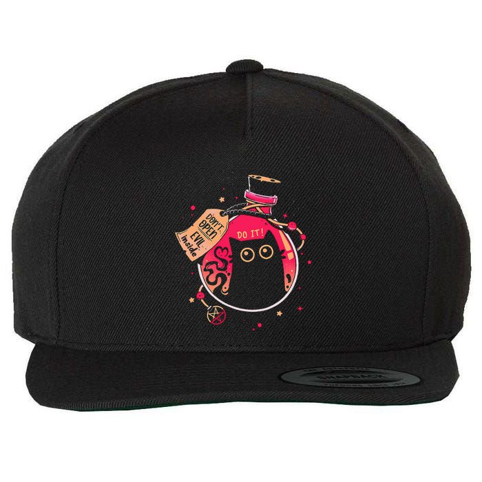 DonT Open Evil Inside Funny Cat Wool Snapback Cap