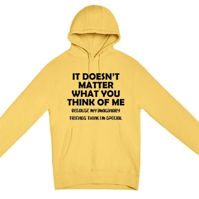 Doesn't Matter Imaginary Friends Think I'm Special Premium Pullover Hoodie