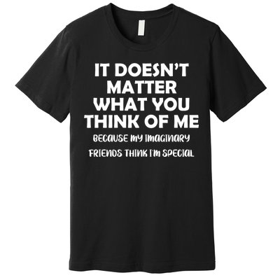 Doesn't Matter Imaginary Friends Think I'm Special Premium T-Shirt