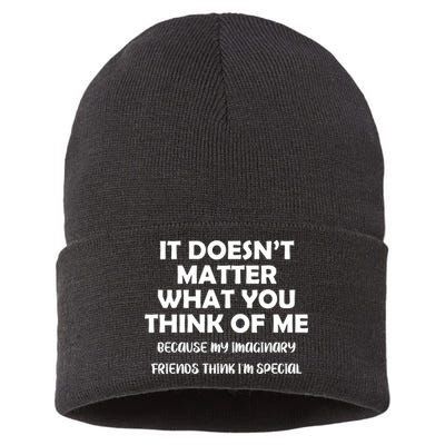 Doesn't Matter Imaginary Friends Think I'm Special Sustainable Knit Beanie