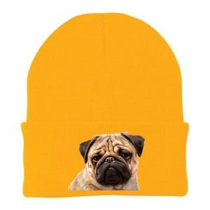 Dog - Close-Up of Pug Face Knit Cap Winter Beanie