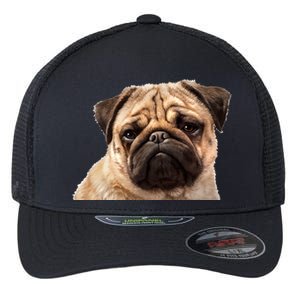 Dog - Close-Up of Pug Face Flexfit Unipanel Trucker Cap