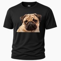 Dog - Close-Up of Pug Face Cooling Performance Crew T-Shirt