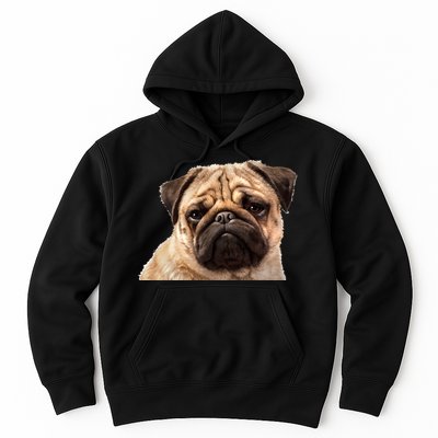Dog - Close-Up of Pug Face Hoodie