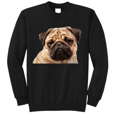 Dog - Close-Up of Pug Face Sweatshirt