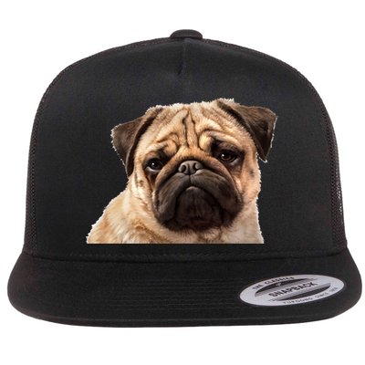Dog - Close-Up of Pug Face Flatbill Hat