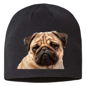 Dog - Close-Up of Pug Face Sustainable Beanie