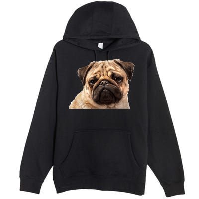 Dog - Close-Up of Pug Face Premium Pullover Hoodie