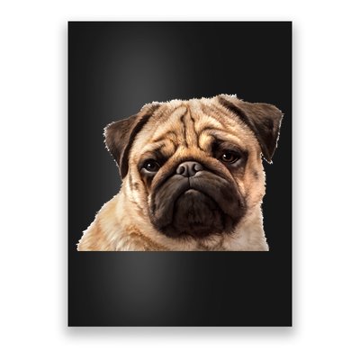 Dog - Close-Up of Pug Face Poster