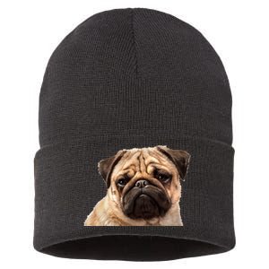 Dog - Close-Up of Pug Face Sustainable Knit Beanie