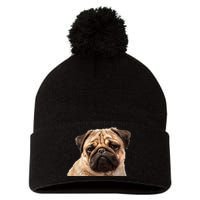 Dog - Close-Up of Pug Face Pom Pom 12in Knit Beanie