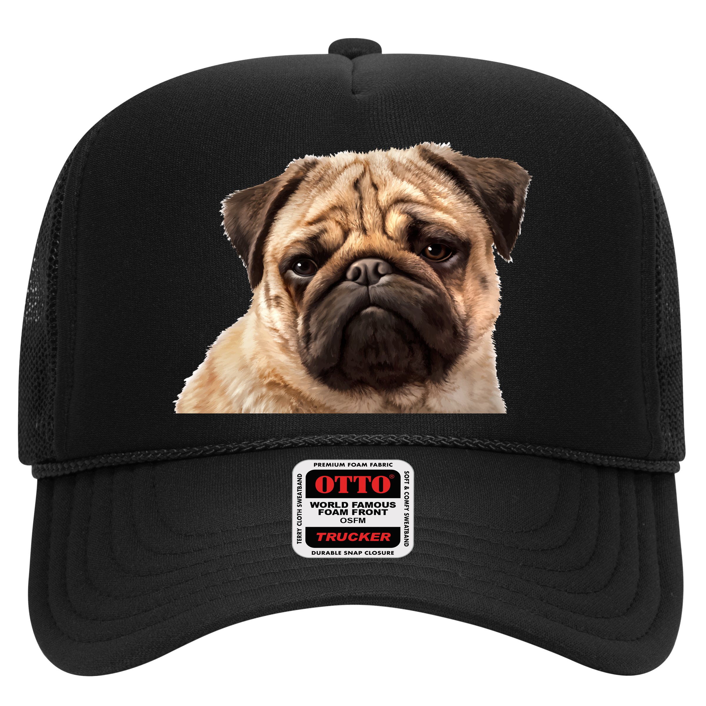 Dog - Close-Up of Pug Face Hat