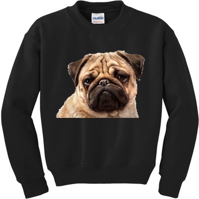 Dog - Close-Up of Pug Face Kids Sweatshirt