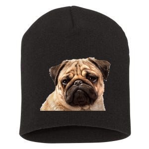 Dog - Close-Up of Pug Face Short Acrylic Beanie