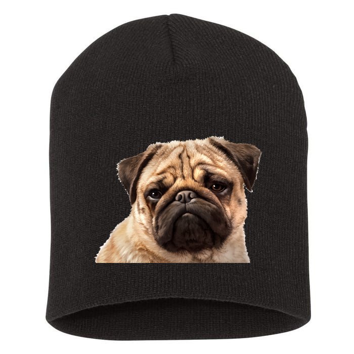 Dog - Close-Up of Pug Face Short Acrylic Beanie