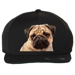 Dog - Close-Up of Pug Face Wool Snapback Cap