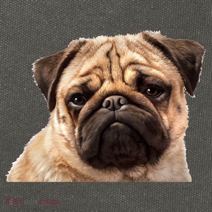 Dog - Close-Up of Pug Face Cotton Canvas Backpack