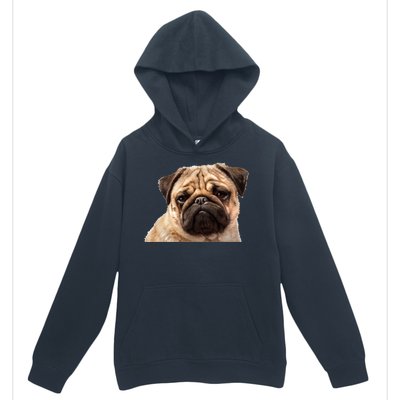 Dog - Close-Up of Pug Face Urban Pullover Hoodie