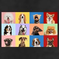 Dog Collage 11oz C Handle Ceramic Mug