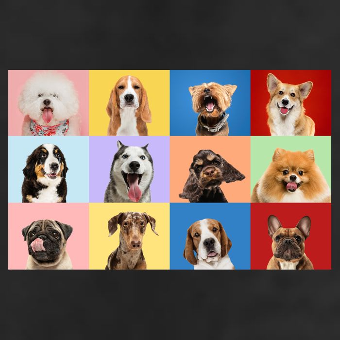 Dog Collage 11oz C Handle Ceramic Mug