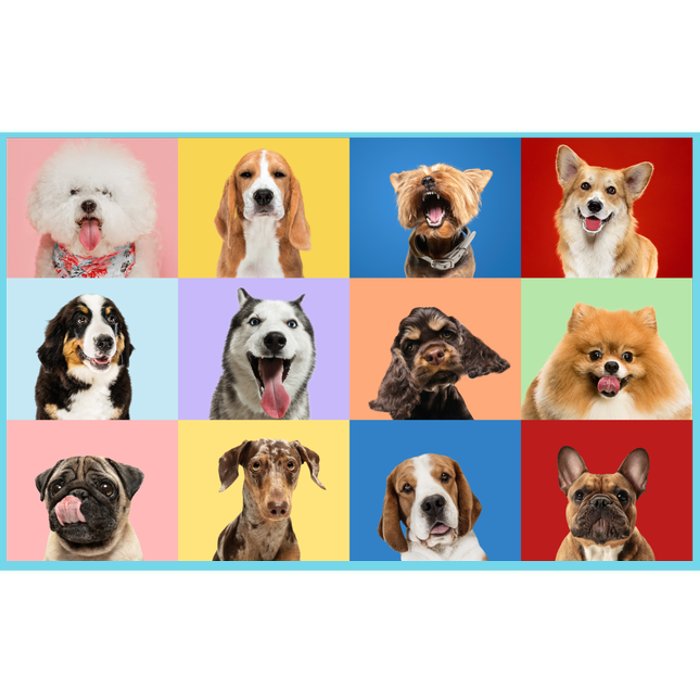 Dog Collage Bumper Sticker