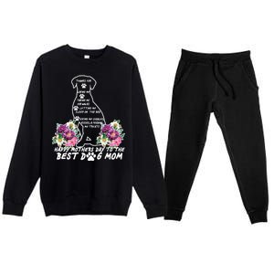 Dog Mom Mothers Day Premium Crewneck Sweatsuit Set