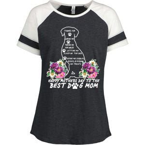 Dog Mom Mothers Day Enza Ladies Jersey Colorblock Tee