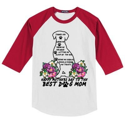 Dog Mom Mothers Day Kids Colorblock Raglan Jersey