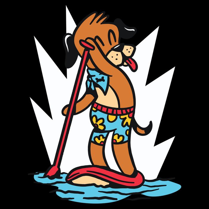 Dog Paddle Boarding Apron