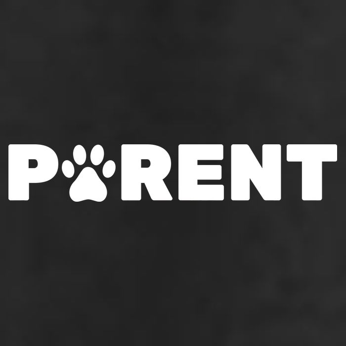 Dog Parent Pet Adult Drive Performance Visor