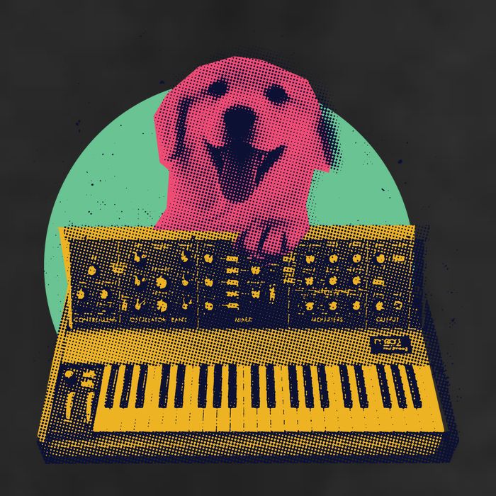 Dog Playing Piano 7 Panel Mesh Trucker Snapback Hat